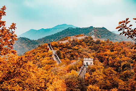 aerial photography of Great Wall of China thumbnail