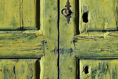 close up photo of closed green wooden door thumbnail