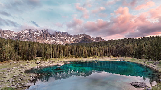 body of water near green leafed trees under blue sky during daytime thumbnail