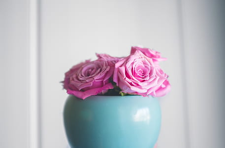 pink roses in green vase centerpiece closeup photography thumbnail