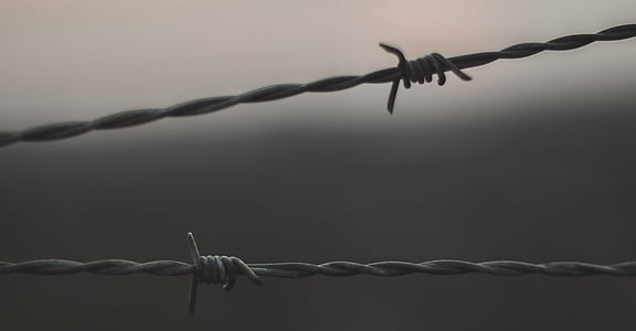 selective photo of metal barbwire thumbnail