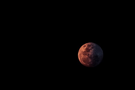 close up photo gray moon with dark background thumbnail