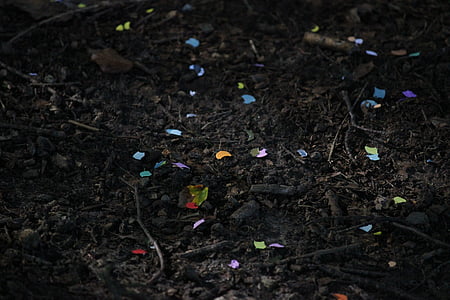 assorted-color shattered paper on ground thumbnail