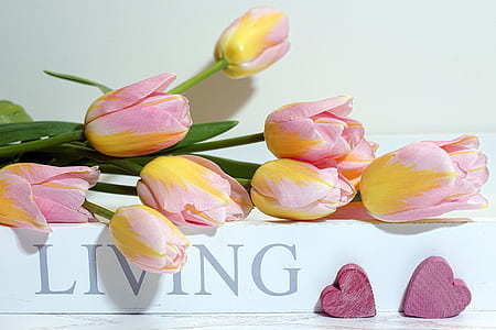 pink and yellow tulip flowers on living board thumbnail