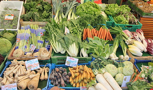 cabbage and radish thumbnail