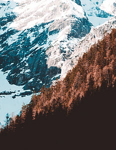 ice capped mountain near forest range thumbnail
