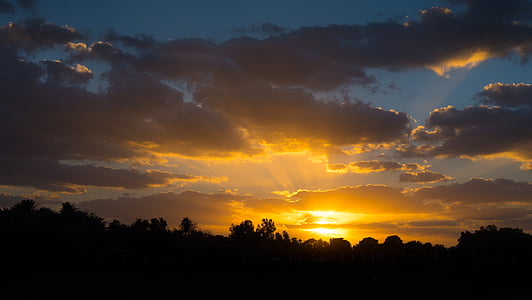 silhouette of forest during sunrise thumbnail