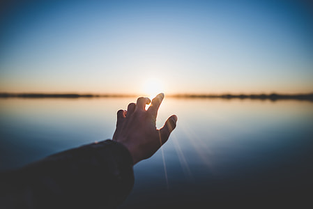left human hand during daytime thumbnail