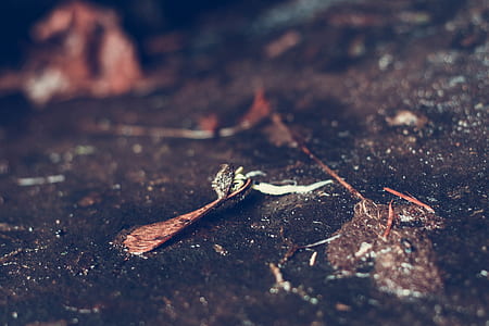 landscape, dirty, dry, texture thumbnail