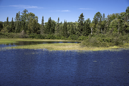 Landscape across the Peshekee River at Van Riper State Park, Michigan thumbnail