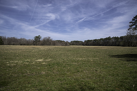 Field Near the French Hospital in Yorktown, Virginia thumbnail
