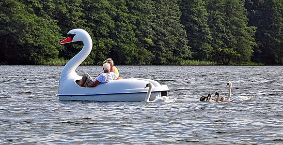 two person riding pedal swan boat thumbnail