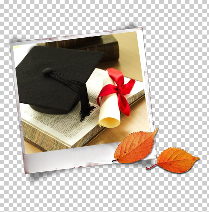 Graduation Ceremony Estudante Bachelor Cap Leaves Decoration