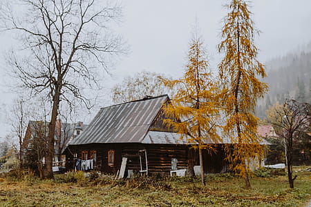 Old wooden houses in the mountains in autumn thumbnail