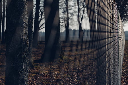gray steel fence near trees thumbnail