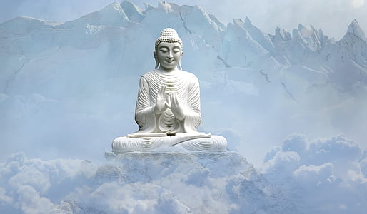 photography of Gautama Buddha statue thumbnail