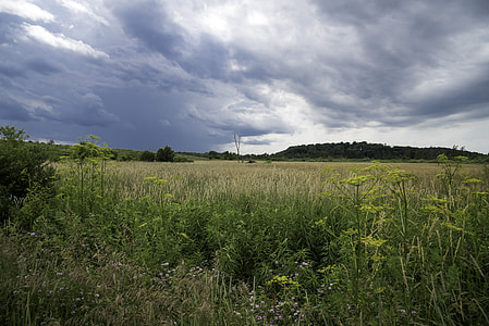 Stormy Clouds over the Grassland and Marsh at Goose Lake Wildlife Area thumbnail
