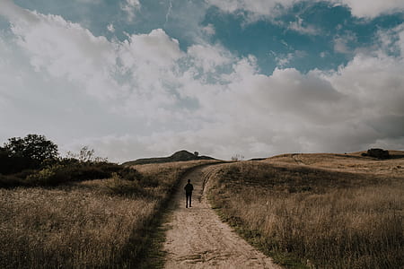 man walking in the pathway between the grass thumbnail