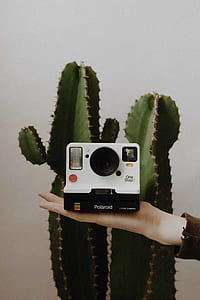 person holding Polaroid instant camera thumbnail