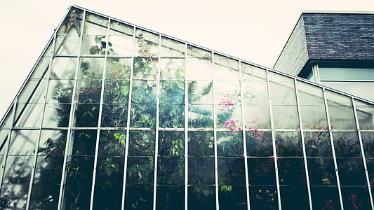 low angle photo of glass building thumbnail