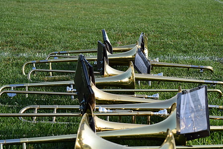 brass-colored trombones on a grass field thumbnail