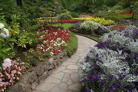 empty pathway surrounded by flowers and plants thumbnail
