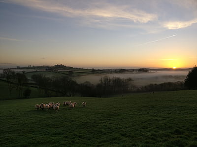 mountain, hill, grass, field thumbnail