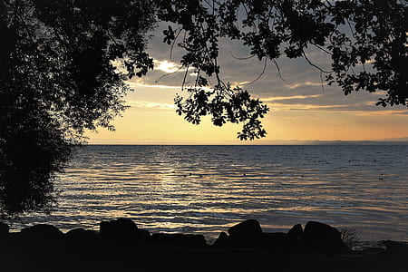 body of water near trees thumbnail