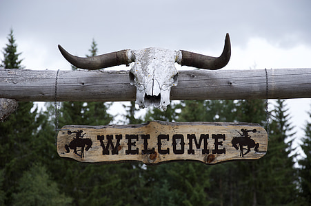 Welcome signage during daytime thumbnail