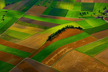 bird's eye view photography of brown and green grass fields thumbnail