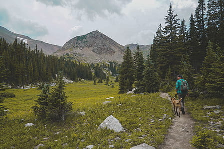 man walks with dog on mountain thumbnail