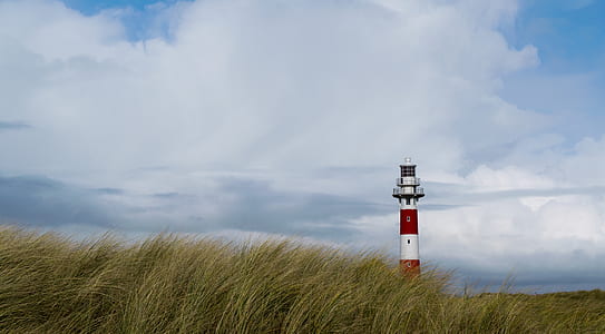 grass field with lighthouse thumbnail