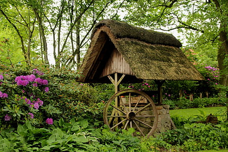 water well surrounded by trees and plant thumbnail