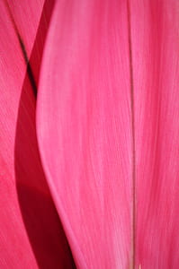 art, abstract, design, colors thumbnail