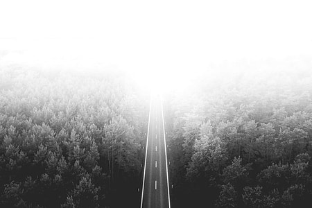 Long Lonely Road Through The Woods thumbnail