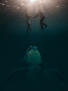 couple underwater shot thumbnail