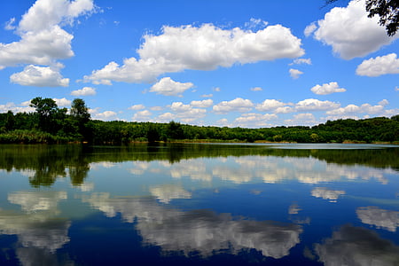 body of water near green leaf trees on green grass field during daytime thumbnail
