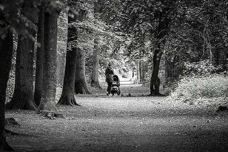grayscale photography of woman pushing stroller thumbnail