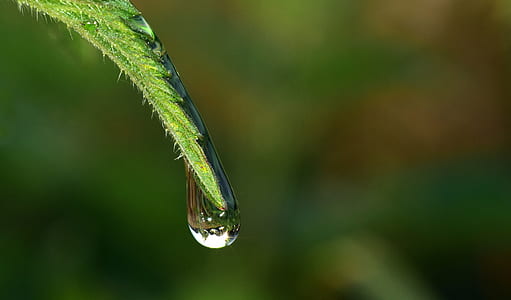 water droplet micro photography thumbnail