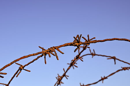 shallow focus photography of rusted brown steel barbed wire thumbnail