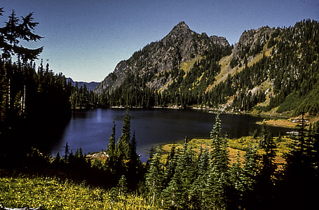 Scenery from Olympic National Park in Washington thumbnail