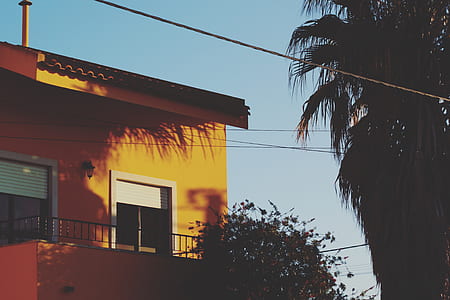 brown painted house near green leafed trees thumbnail
