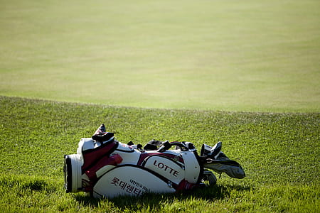 white Lotte golf bag with golf driver on green grass field thumbnail
