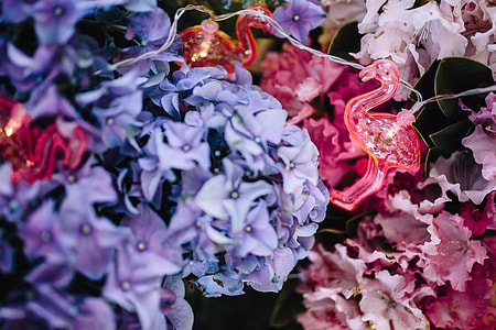 Flamingo light garland & pink flowers thumbnail
