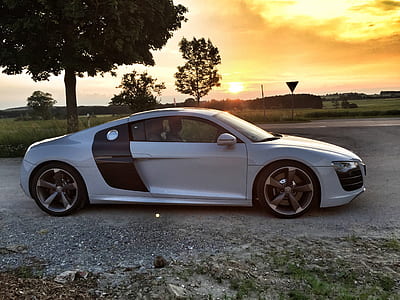 gray and black Audi R8 coupe parked near black leaf tree thumbnail