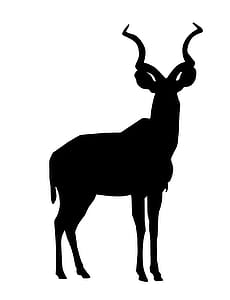 Black silhouette of kudu. thumbnail