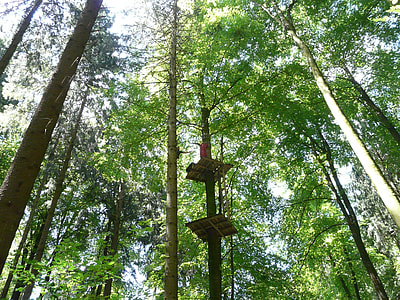 Climbing Forest, High Ropes Course thumbnail