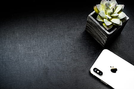 silver iPhone X beside succulent plant pot thumbnail