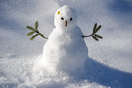 snowman photography thumbnail