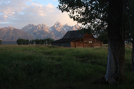 brown wooden house in a grass field behind green leaf tree and mountain range background thumbnail